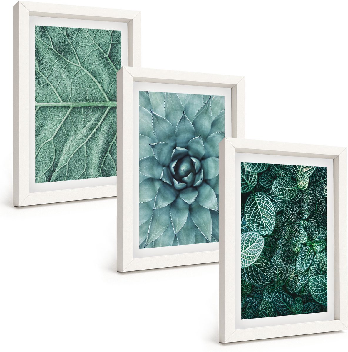 Tulup 3-Delige Schilderij Set - Close-ups van planten, bladeren en vetplanten - 20x30 - Wanddecoratie - Muurdecoratie - Moderne Interieurdecoratie - Interieur Decoratie