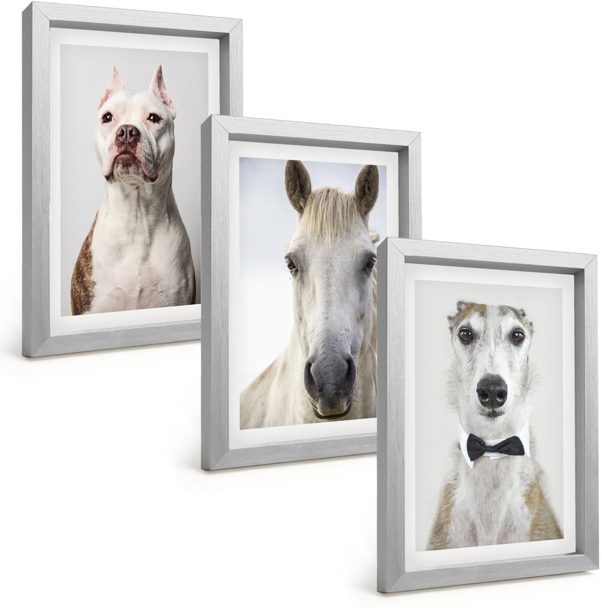 Tulup 4-Delige Schilderij Set - Interessante portretten van honden en paarden in een elegante stijl. - 20 x 30 cm - Moderne Wanddecoratie - Slaapkamer - Stijlvolle Muurdecoratie