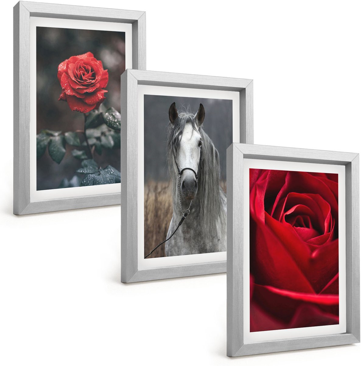Tulup 4-Delige Schilderij Set - Rode rozen en een paard in een grijze omgeving - 20 x 30 cm - Wanddecoratie - Schilderijen Set - Kantoor - Woonkamer Decoratie