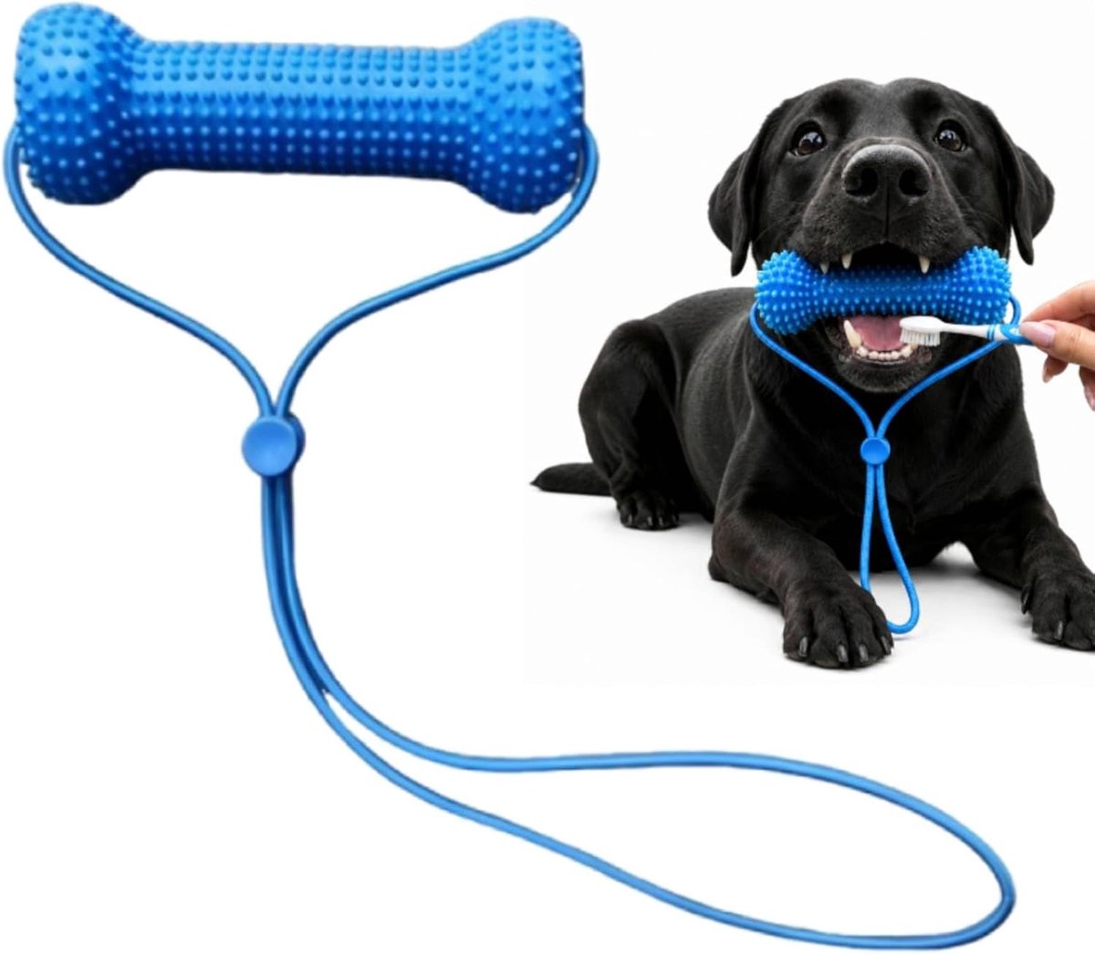 KZQ Dubbelwerkende Hondentandreiniger, Kauwspeeltje En Tandenpoetshulp, Herbruikbaar, Geschikt Voor Kleine En Middelgrote Honden, 10 Cm, 1 Stuk