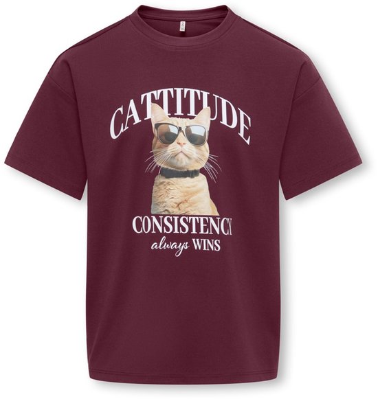 T-shirt bordeaux avec un chat portant des lunettes de soleil et le texte 'CATTITUDE CONSISTENCY always WINS'.