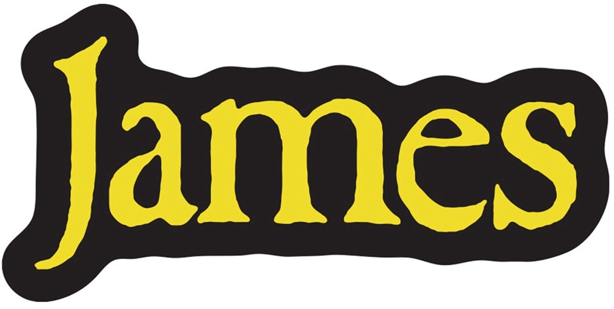 James - Logo Sticker - Zwart/Geel