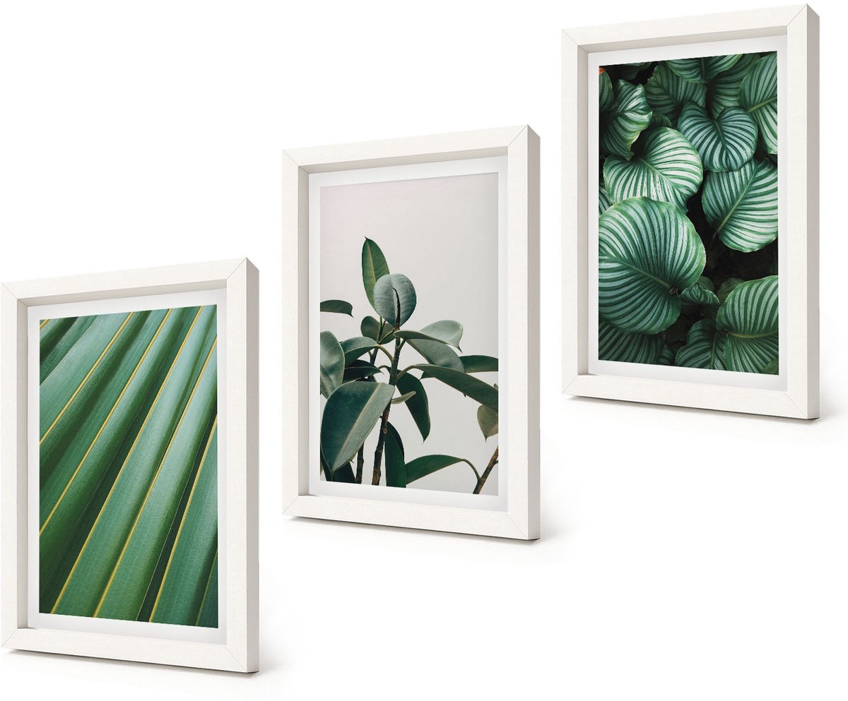 Coloray 3-Delige Schilderij Set - Esthetische tropische bladeren in diverse groene tinten - 20x30 - Stijlvolle Muurdecoratie - Kantoor
