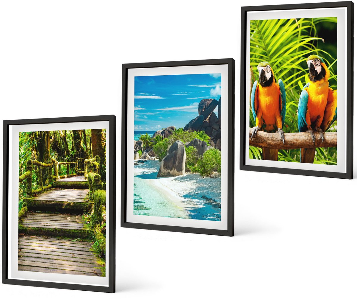 Coloray 3-Delige Schilderij Set - Tropisch Bos Met Waterval En Kleurrijke Papegaaien - 40 x 60 cm - Stijlvolle Muurdecoratie - Kantoor