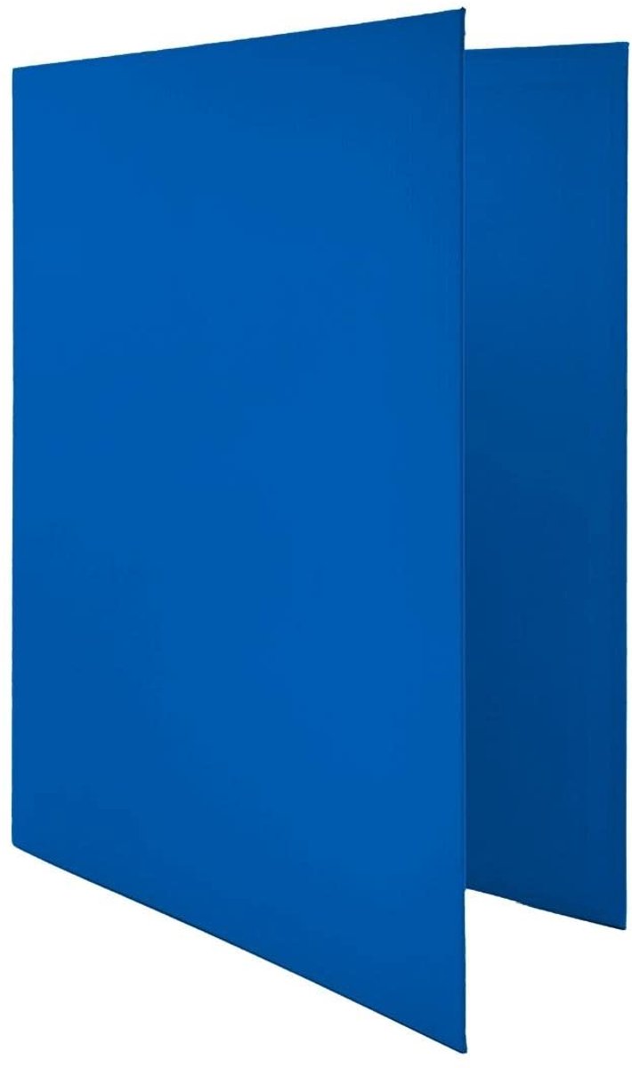 Raylu Paper® - 4 x D-ringband 25 mm, A4-map met ringen voor het opbergen van documenten, A4-formaat 33,5 cm hoog x 26 - ShopVlot