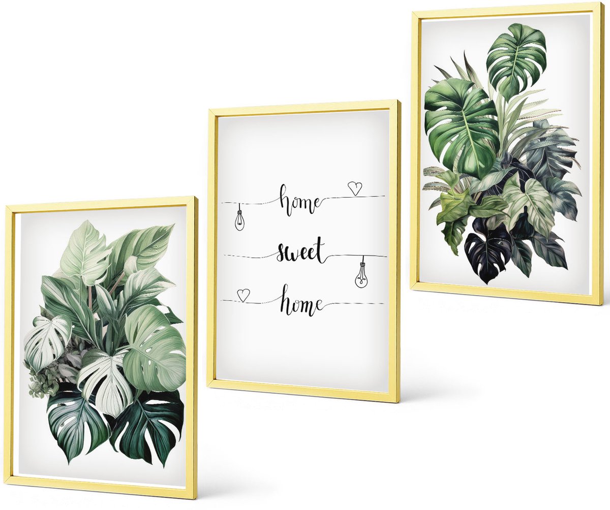 Coloray 3-Delige Schilderij Set - Schattige Dieren Katten Honden Strand Gras Boho - 40 x 40 cm En 40 x 60 cm - Stijlvolle Wanddecoratie - Interieur - Muurdecoratie