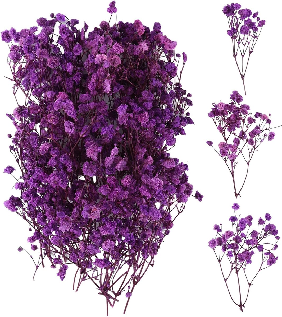 100 stuks gedroogde nevel gedroogde bloemen Gypsophila, mist Gypsophila bloemen, natuurlijke gedroogde bloemen voor - ShopVlot