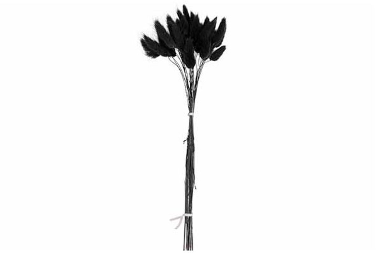 Boeket Cat Tails Zwart 10x10xh60cm Kraft Paper Bag