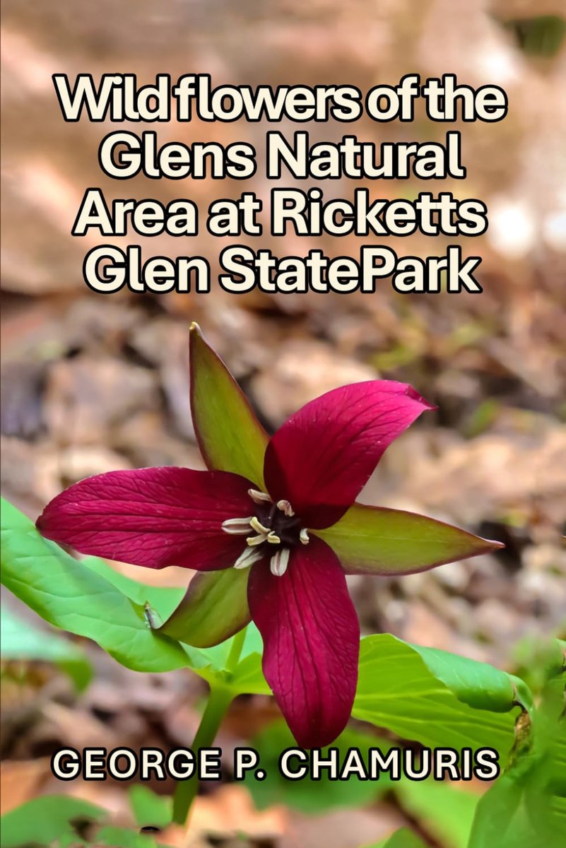 Wildflowers of the Glens Natural Area at Ricketts Glen State Park