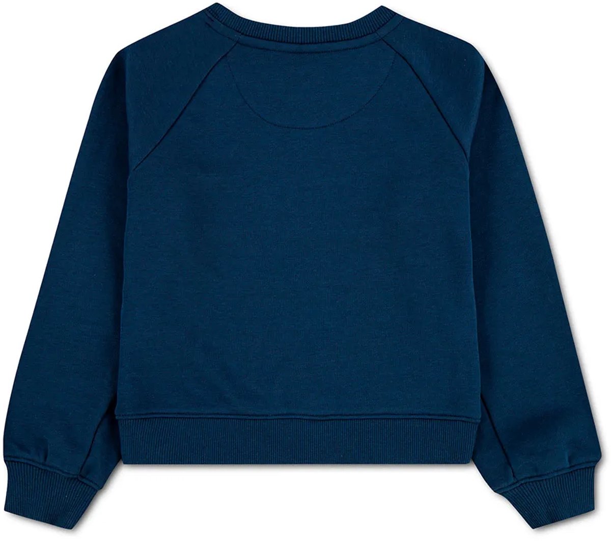 Levi´s ® Kids Floral Batwing Crew Sweatshirt Blauw 12 Years Meisje