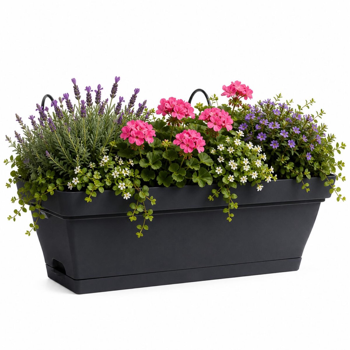 EDA Romeo balkon bloempot / plantenbak - kunststof - antraciet - 28 x 19 x 13 cm - met ophangbeugels