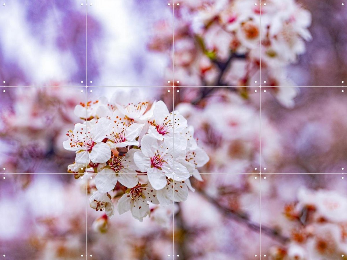 IXXI Spring Flowers, Margriet Hulsker - 80 x 60 cm - Gratis ophangtool - Grote wanddecoratie en posters - Fotografie, Slaapkamer, Woonkamer, Bloemen