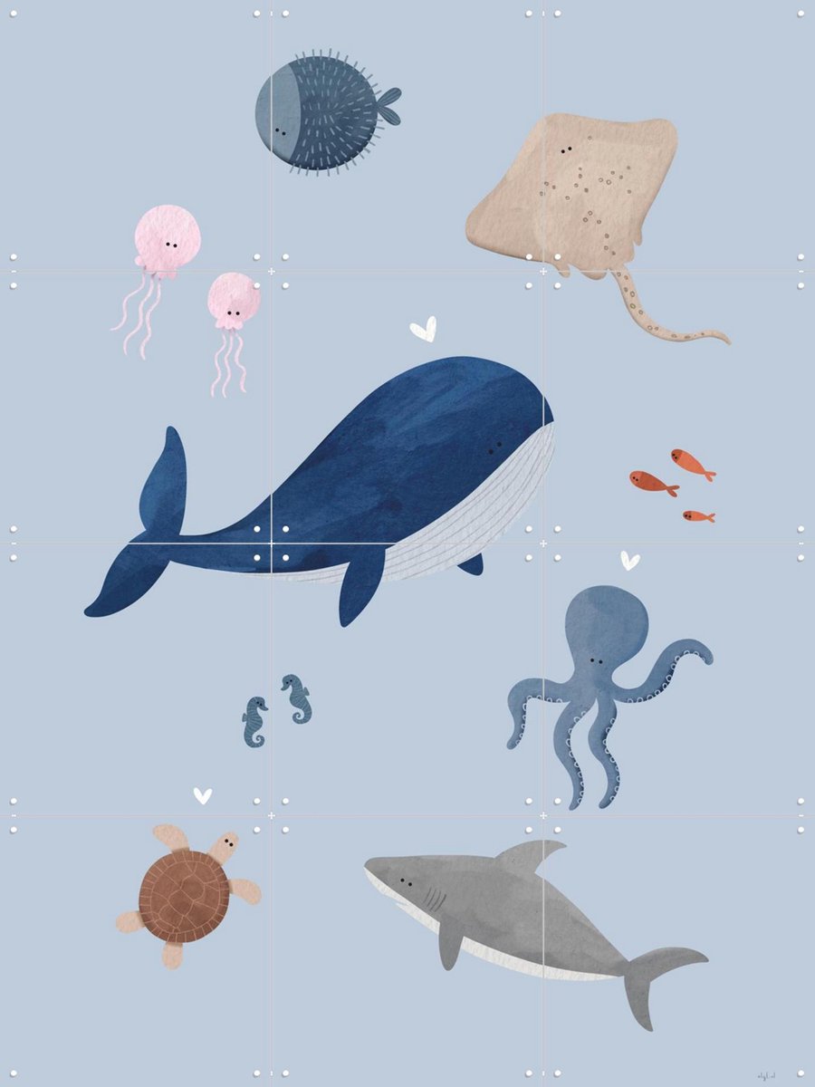 IXXI Zeedieren, Alijt - 60 x 80 cm - Gratis ophangtool - Grote wanddecoratie en posters - Speels, Illustraties, Aquarel, Cartoonesk, Babykamer