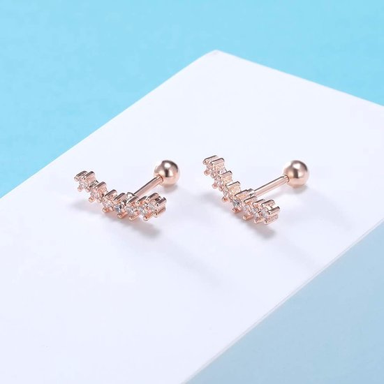 Seven Stud CZ Stud Oorbellen 316L Rvs Oor Helix Conch Kraakbeen Piercing, Roestvrij staal Zirkonia — afbeelding 3