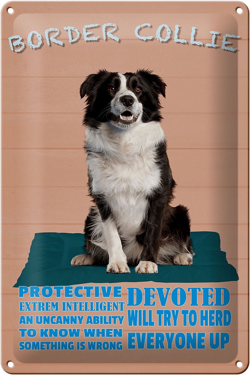 Blechschild Spruch 20x30cm Border Collie Hund protective