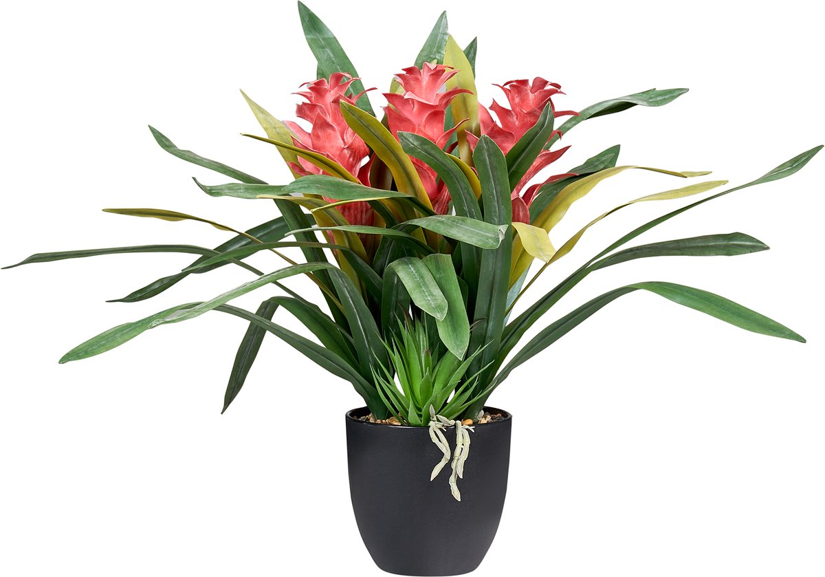 GUZMANIA ATILLA - Kunstplant - Groen - Synthetisch materiaal