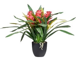 GUZMANIA ATILLA - Kunstplant - Groen - Synthetisch materiaal
