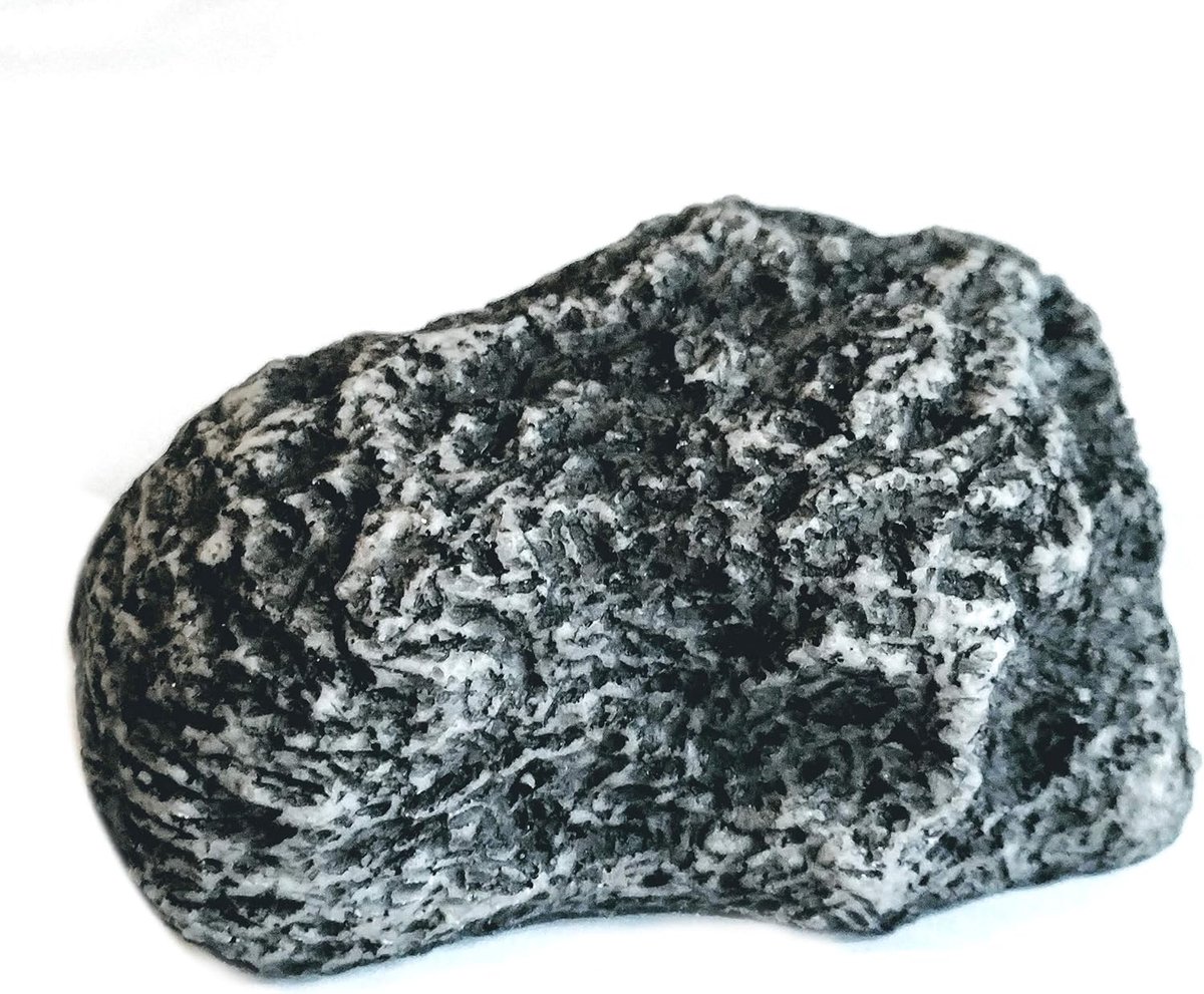 SnelShoppen - XL Key Cover - Grote Verborgen Steen - Natuurlijke Look - Robuust en Weerbestendig - Sleutelverste verste hiding voor Buiten - Geocachin