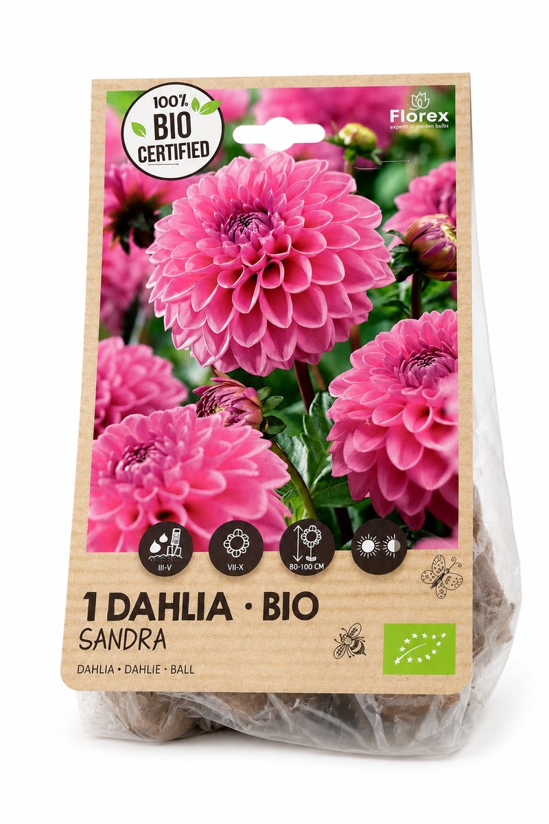 florex- dahlia - bio-sandra