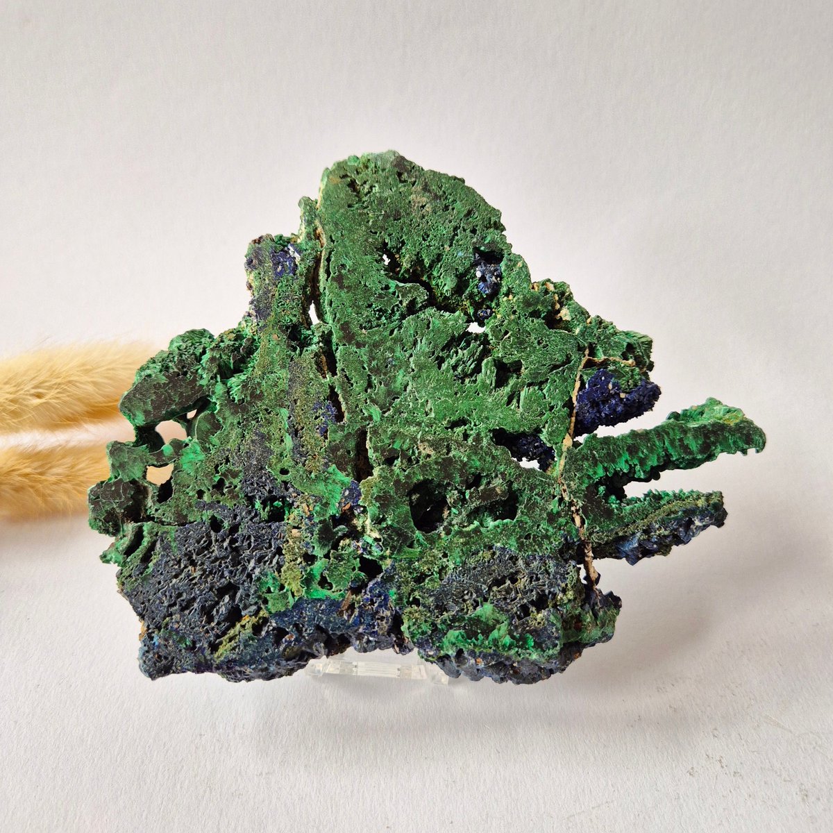 Azuriet met Malachiet Schijf 285g – Natuurlijk Mineraal Specimen