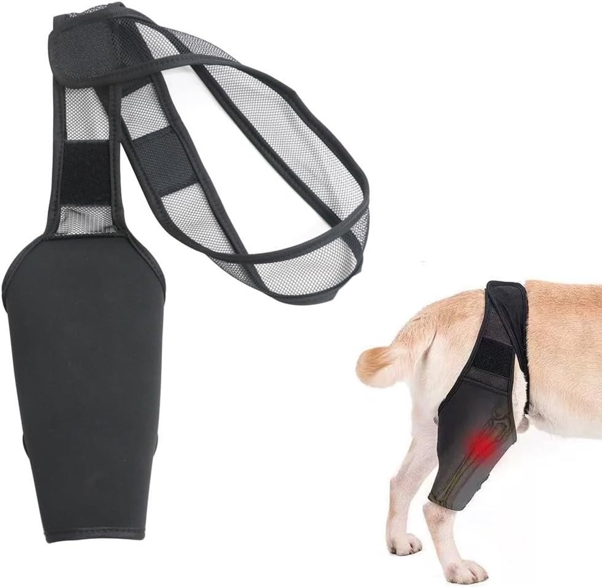 Optimale bescherming voor de gewrichten en benen van honden, kniebandage en revalidatiebandage XL