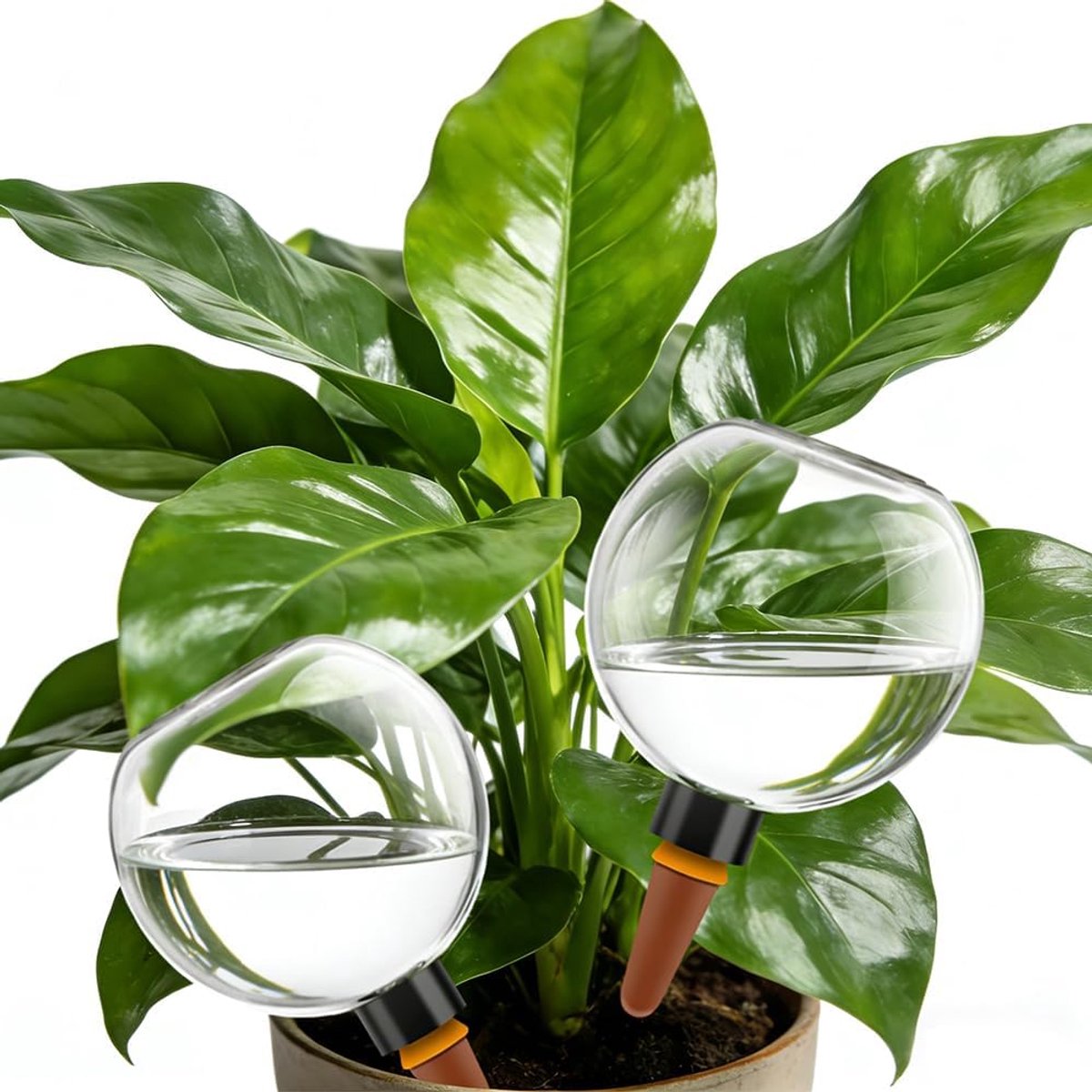 Bobypet - Waterbollen voor Planten Set van 4 - 500 ml Automatische Bewateringsbollen met Ademende Kleikegel - Onbreekbaar & Transparant - Ideaal voor Vakantie, Kamerplanten en Tuin