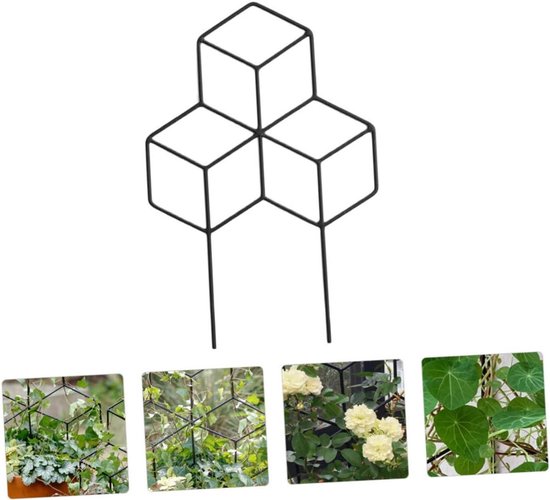 Plantensteunrek - Klimplantsteun Tuinrek - Planten Ondersteunen - Eenvoudig te Installeren - Niet gespecificeerd - Zwart