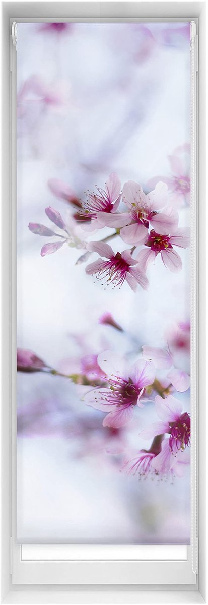 Omgoods - Easy Blind zonder Boren - 50 x 150 cm - Translucent