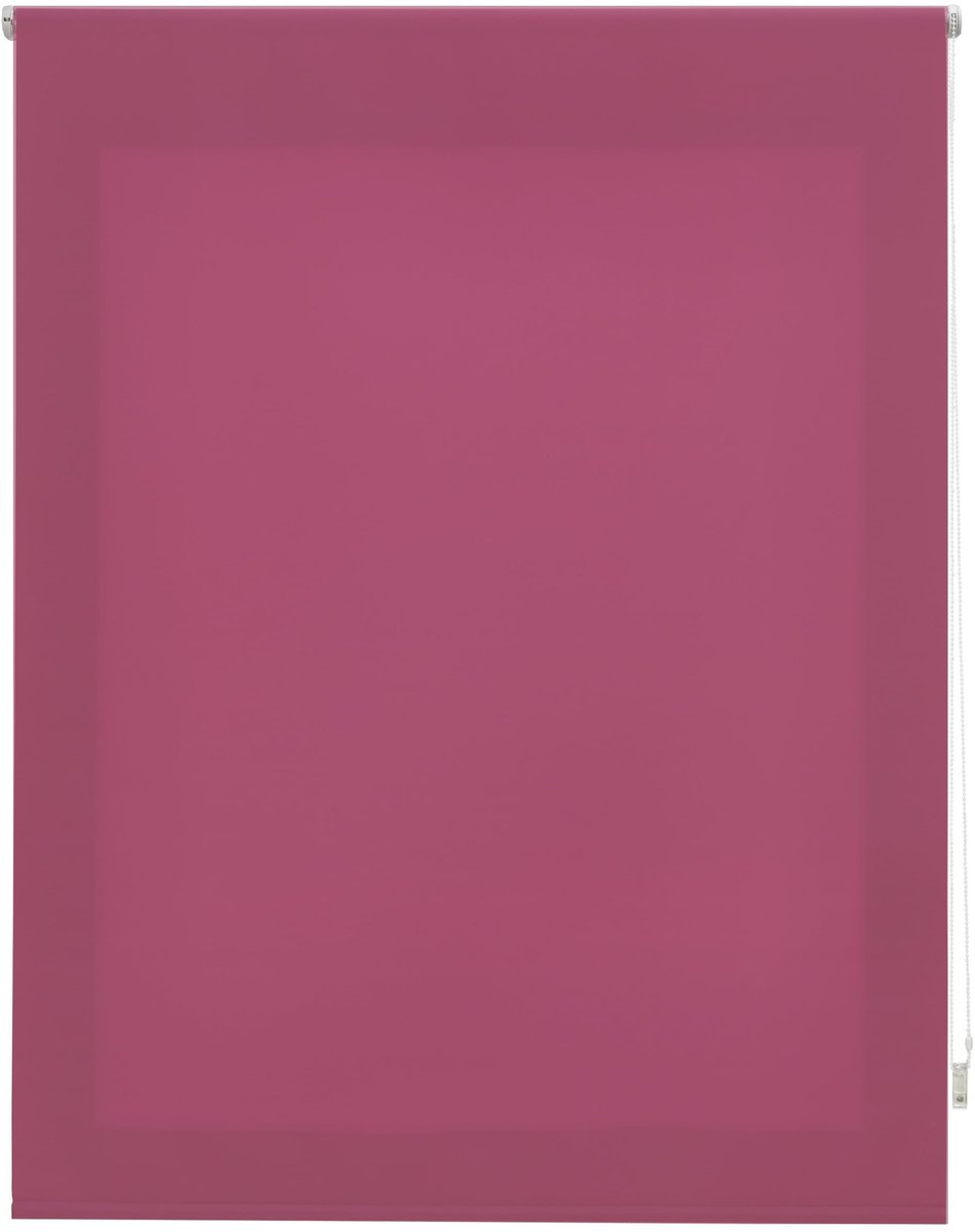 Omgoods - Premium Translucente Rolgordijn 80 x 175 cm - Paars