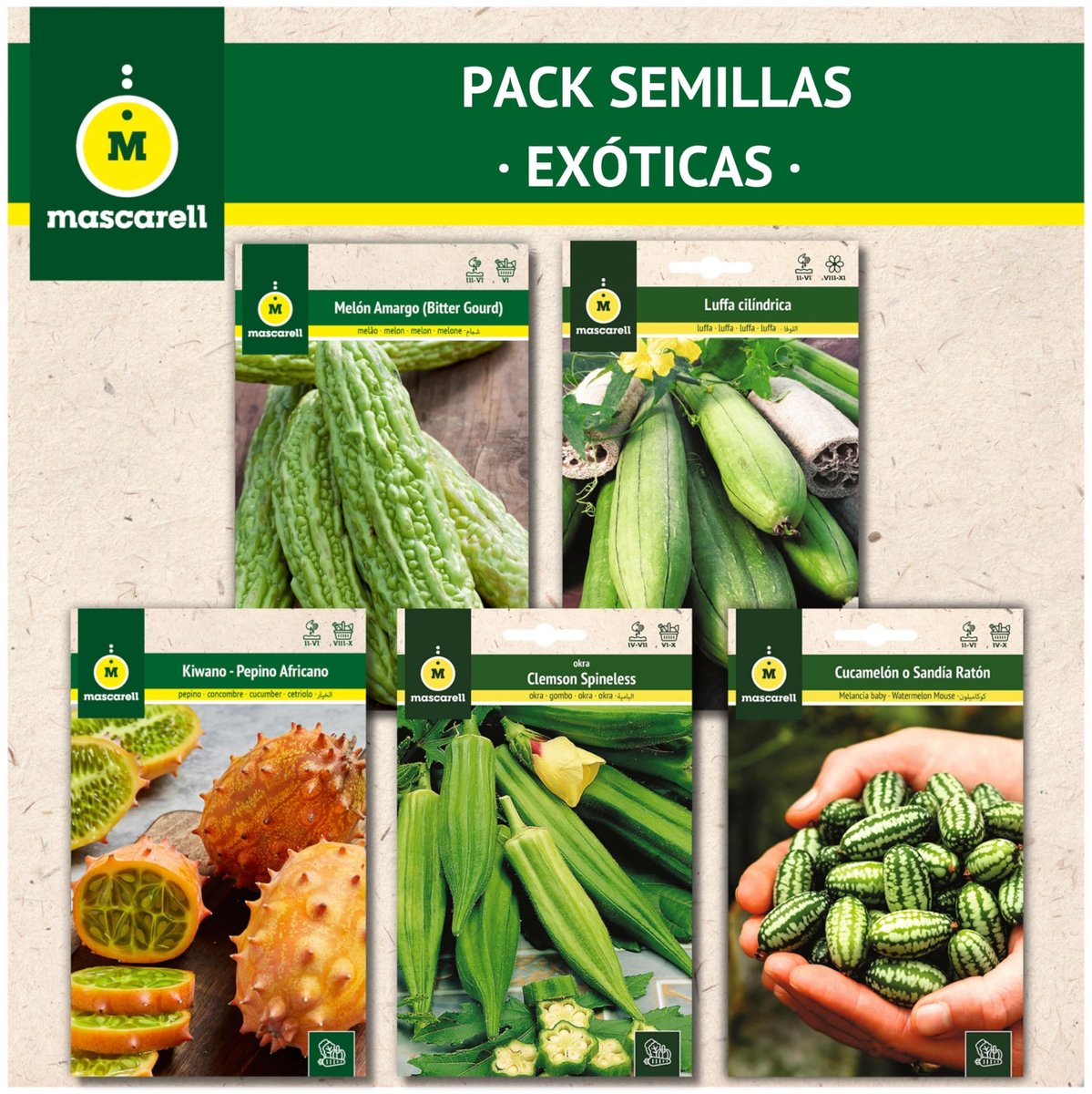 Omgoods - Zaden - Exotische Planten, Eenvoudig Te Kweken Thuis - 57g