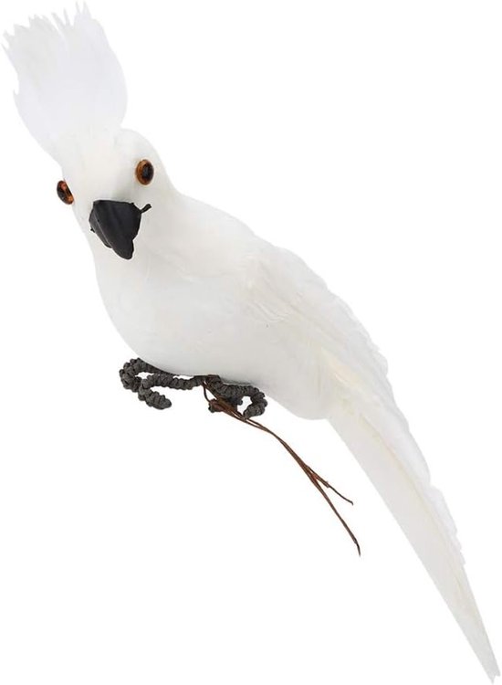Cacatoès blanc avec des yeux bruns, un bec noir et une crête de plumes, assis sur un fil gris.