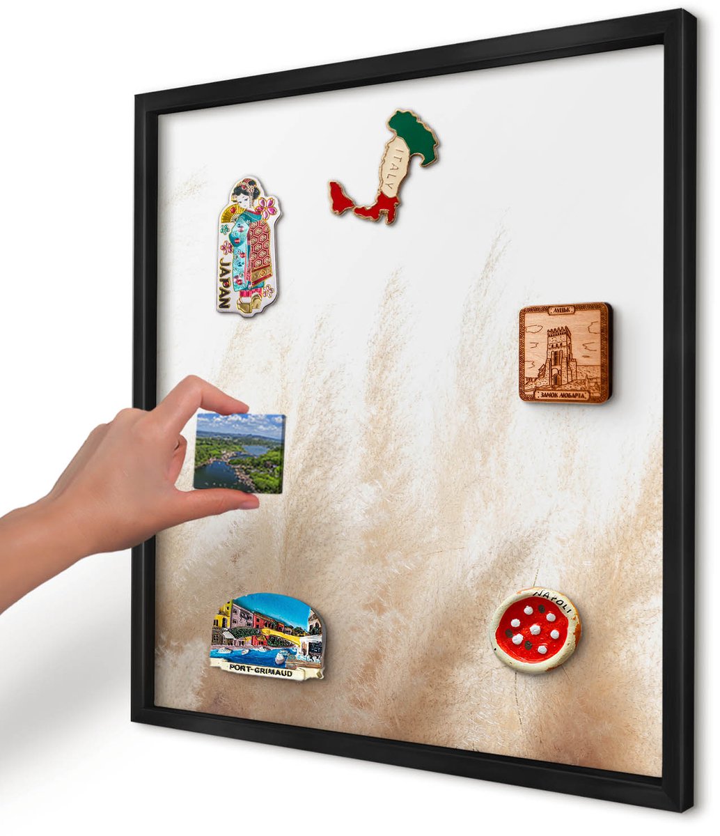 Artprintcave Beige Magneetbord mit Zwart Frame - 50x50 cm - Essentiële Grassen Magnetische Organizer - Minimalist Magneetbord Voor Foto's - Bloemen En Planten