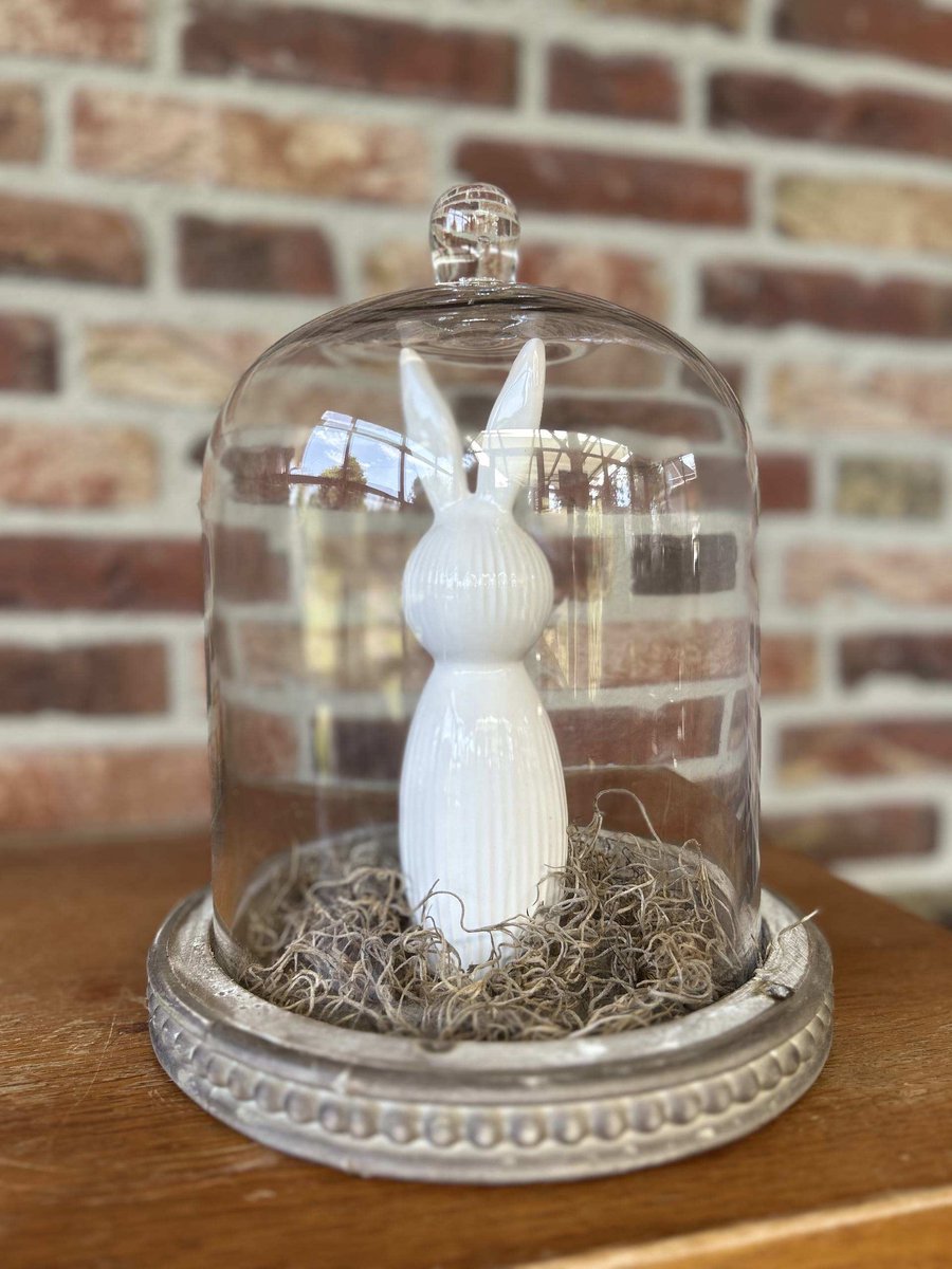Creaties van hier – met houten hartje - Glazen stolp op houten plateau met haasje wit en Tillandsia - 26x23cm