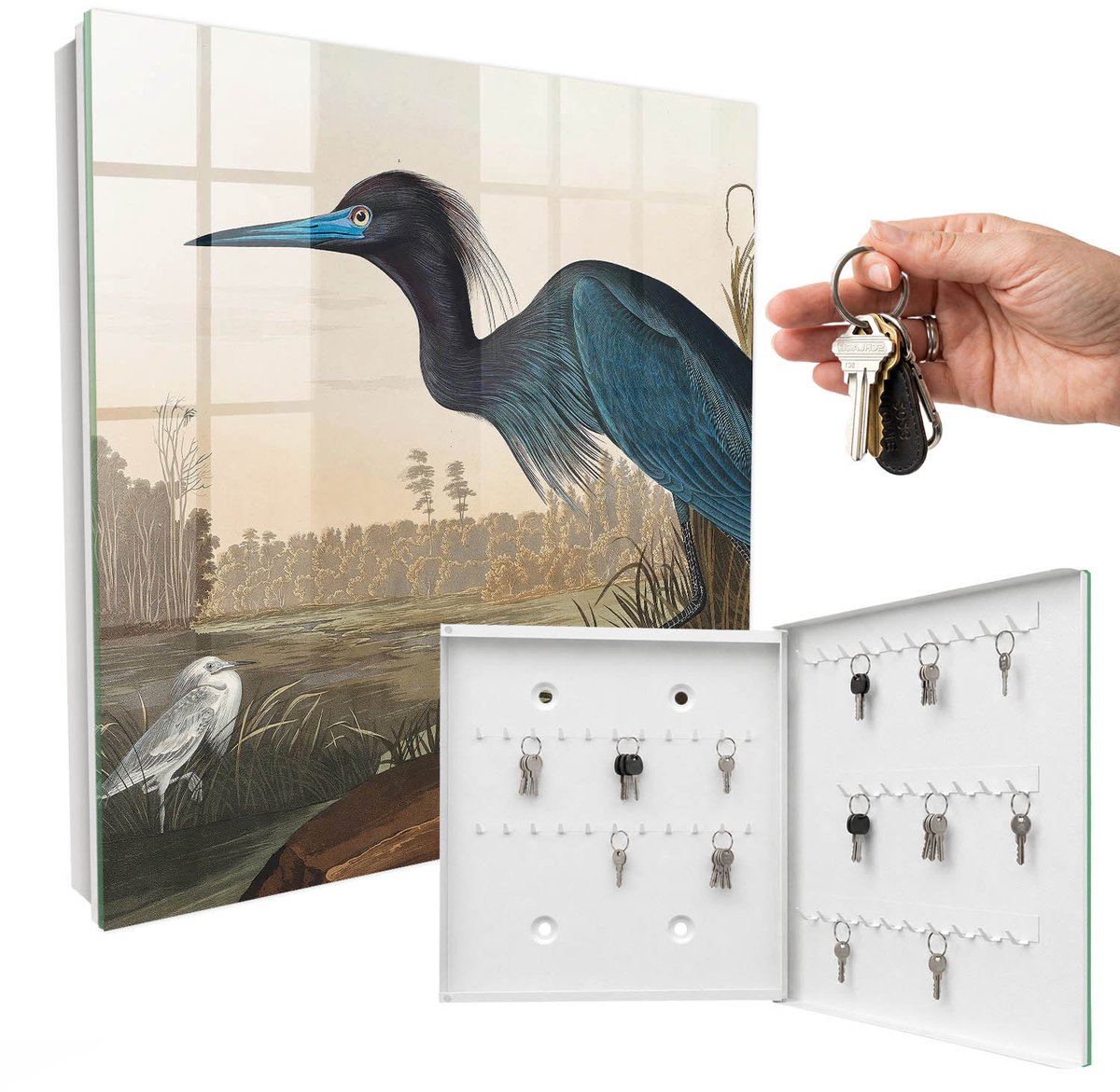 WallMuralia - Sleutelkast - 30x30x5 cm - met 50 haken - Exotische Vogel Sleutelkastje Design - Blauw Sleutelbox - Rechtsopenend - Wit interieur