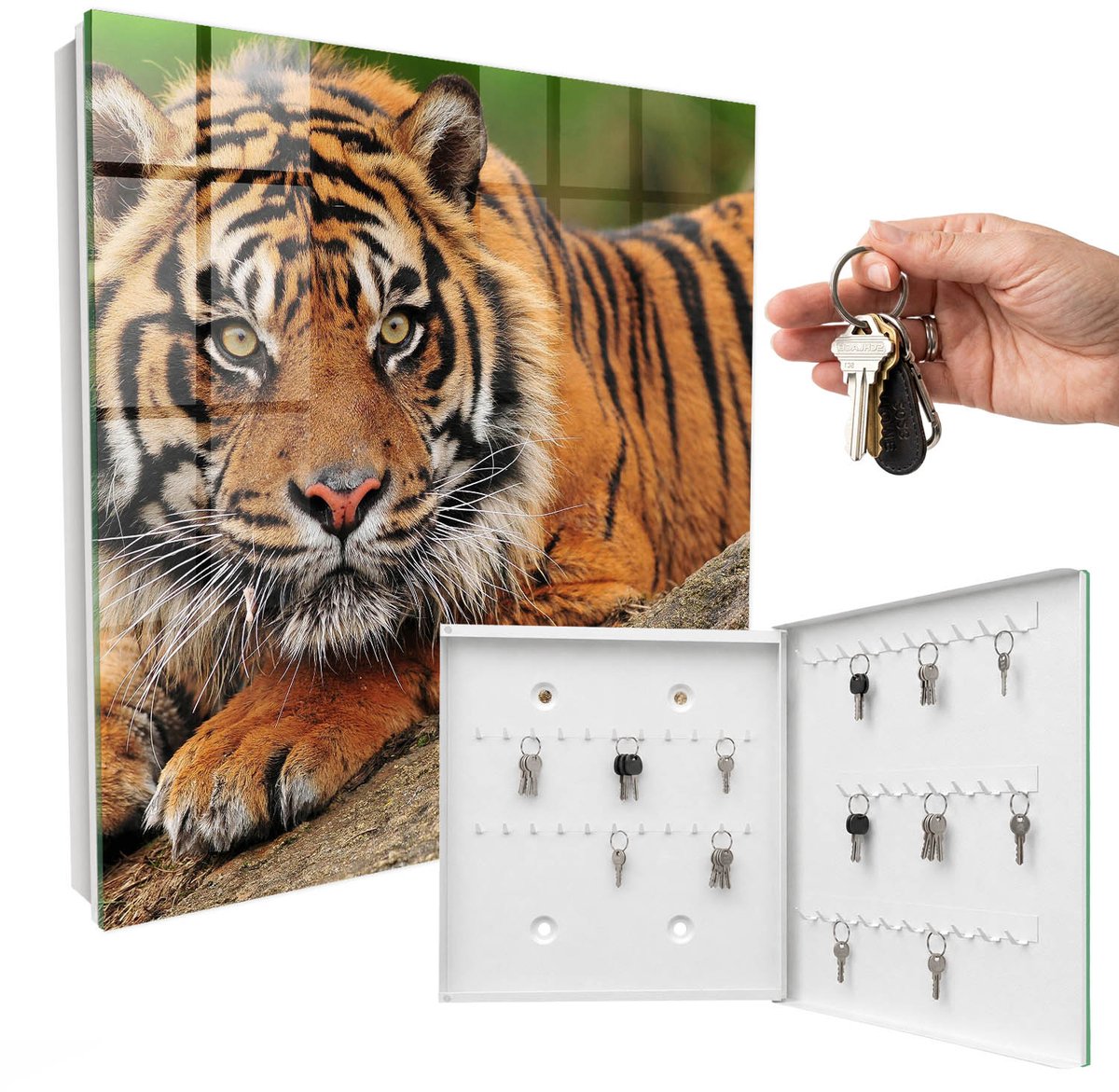 WallMuralia - Sleutelkast - 30x30x5 cm - met 50 haken - Tijger Die Uitrust Sleutelkastje Industrieel - Oranje Sleutelbox - Rechtsopenend - Wit interieur