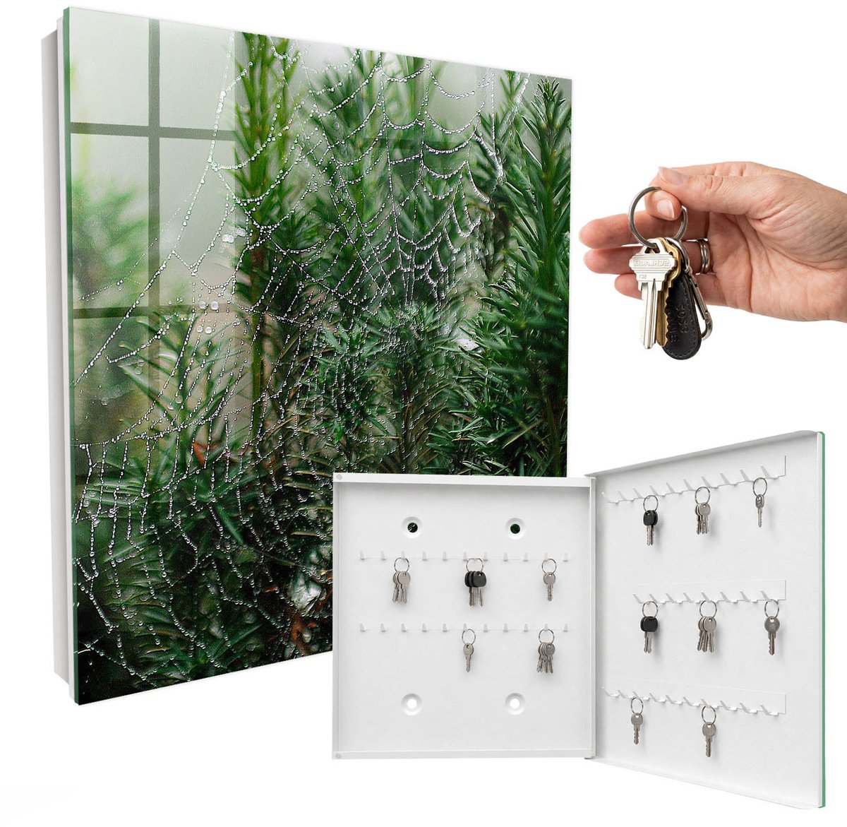 WallMuralia - Sleutelkast - 30x30x5 cm - met 50 haken - Spinnenweb In Het Bos Design Sleutelkastje - Groente Sleutelbox - Rechtsopenend - Wit interieur