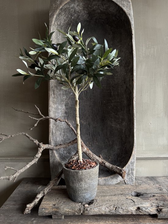 Kunst olijftak met donkergroene bladeren en zwarte olijven, in grijze pot, in een houten schaal.