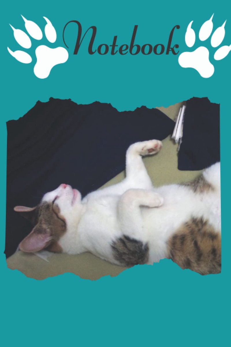 Cheche sleeping with her paws up: (Notebook, Journal) 6x9 120 pages
