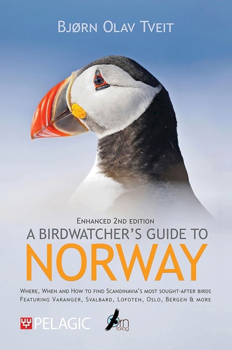 A Birdwatcher’s Guide To Norway