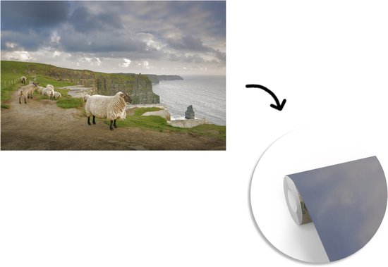 Behang - Fotobehang Schapen in Ierland - Breedte 360 cm x hoogte 240 cm