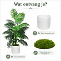 Inhoud van de verpakking: kunstpalm, witte kunststof pot en kunstmos.