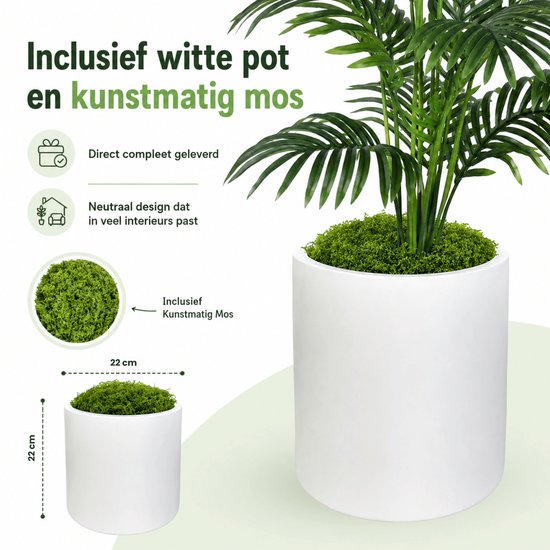 Witte kunststof pot van 22 cm met kunstmos, inclusief in verpakking kunstpalm.
