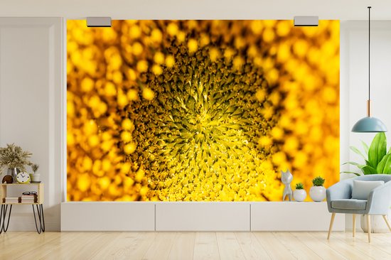 Papier peint - Papier peint photo peint - Noyau gros plan d'un tournesol - Largeur 420 cm x hauteur 280 cm