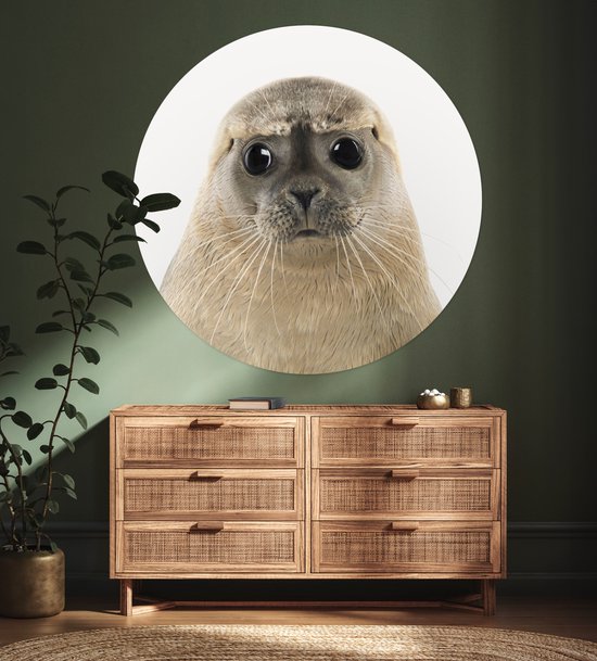 Papier peint Circle - Phoque - Beige - Animaux - ⌀ 120 cm - Wall Circle XXL