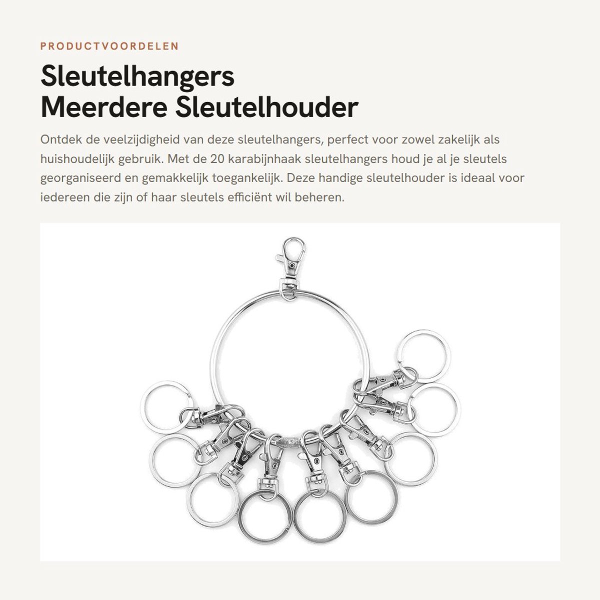 Dailygoods- Sleutelhanger Draagbaar met 20 Karabijnhaken - Sleutelhanger voor Bedrijfsbeheer - Sleutelhanger Huishoudelijk - Sleutelhanger Organizer - Sleutelhanger Management - Sleutelhanger voor Eigendomsbeheer - Sleutelhouder