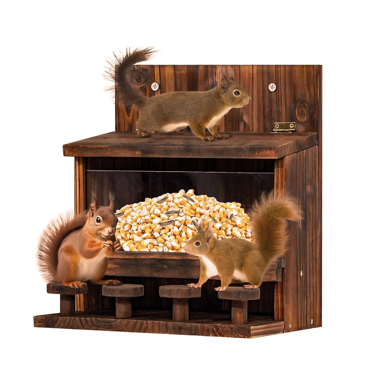 Dailygoods- Eekhoornvoeder - Schattige Picknicktafel - Voederstation voor Tuin - Flexibel Dak - Gemakkelijke Toegang tot Noten - Aantrekkelijk voor Eekhoorns