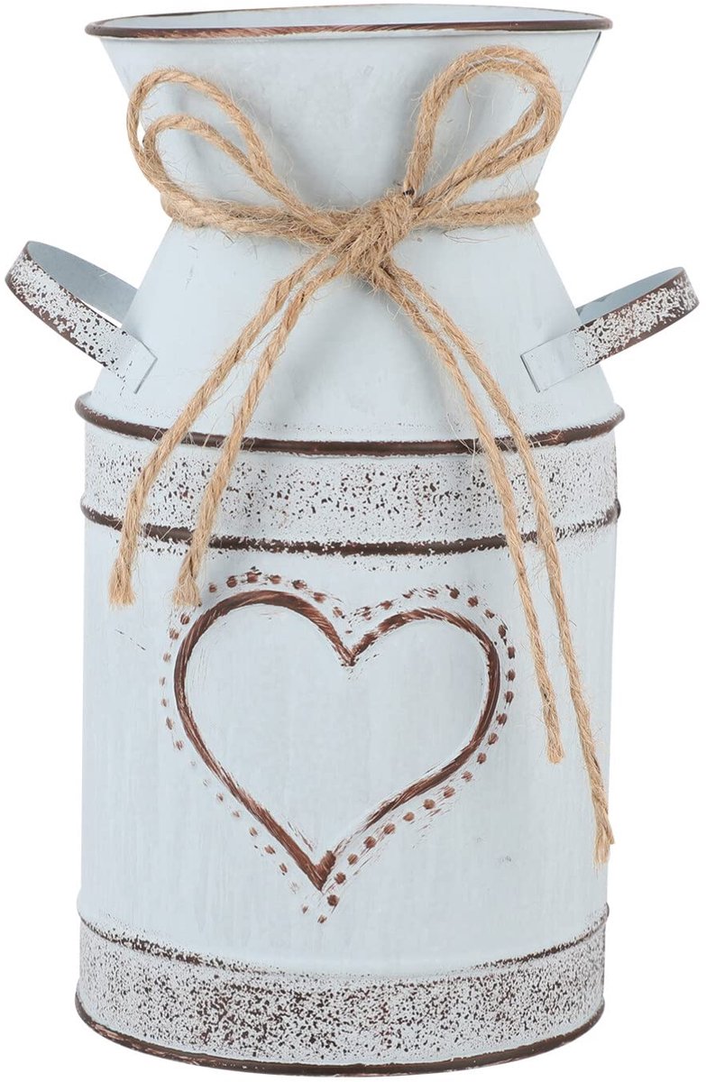 Vaas, ijzer, bloempot, melkkan, shabby decoratie, landhuisstijl, vaas, rustiek, bloembak, metalen emmer, decoratieve vaas, cactus, pot voor tuin, balkon, woonkamer, tafeldecorati
