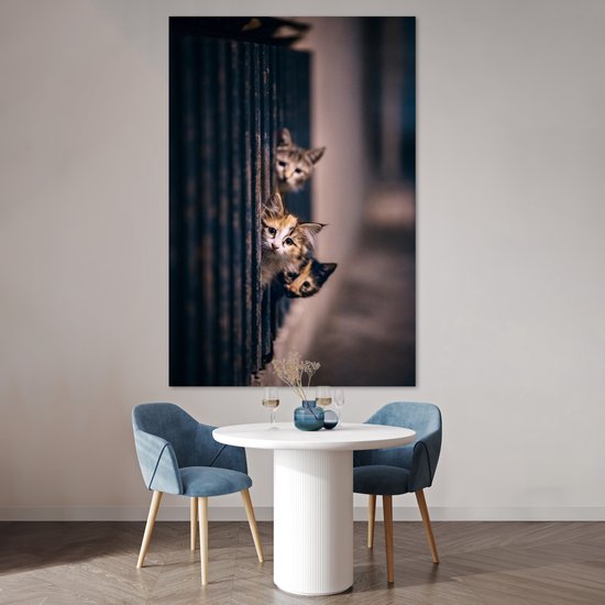 Les Chats regardent curieusement au coin de la rue 120x180 cm XXL / Groot format ! - Tirage photo sur Poster (décoration murale salon / chambre)