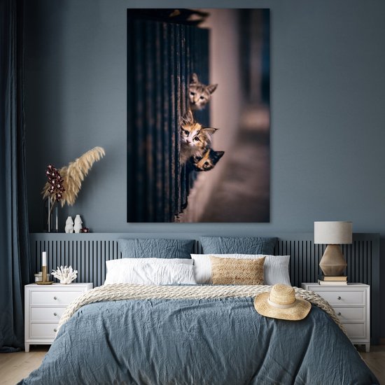 Les Chats regardent curieusement au coin de la rue 120x180 cm XXL / Groot format ! - Tirage photo sur Poster (décoration murale salon / chambre)