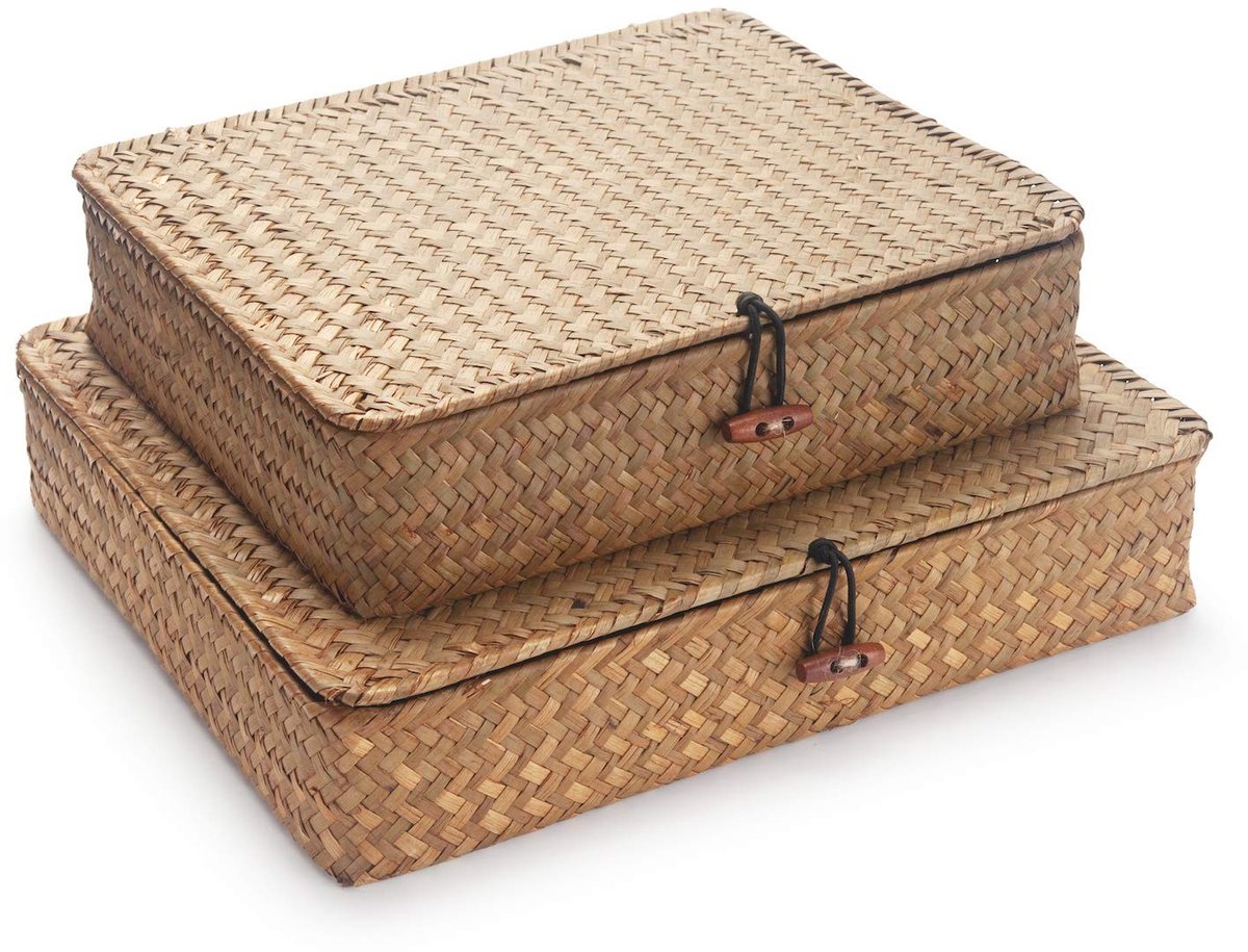 Dailygoods- Opbergdoos Natuurlijk Handgeweven - Opbergmanden - Set van 2 - Stapelbaar - Deksels - 100% Zeegras - Stevig Metalen Frame - Opbergmand